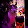 cat, lamp, purple_light, red_light, poster, masked_figures, indoor, animal, pet, portrait, colorful, artistic, moody, feline, sitting, close_up, lighting, dark_background, decor, technology