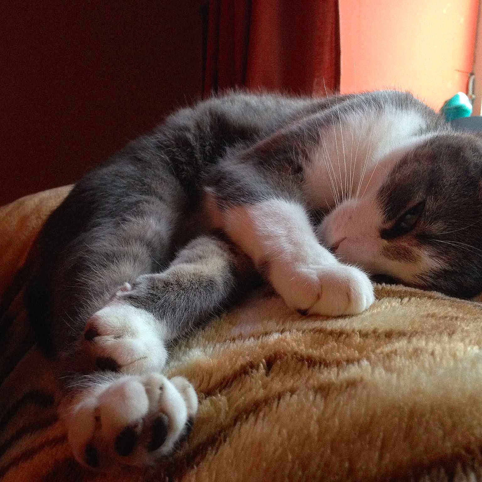 Flo is registered to the contest to win money with this photo: