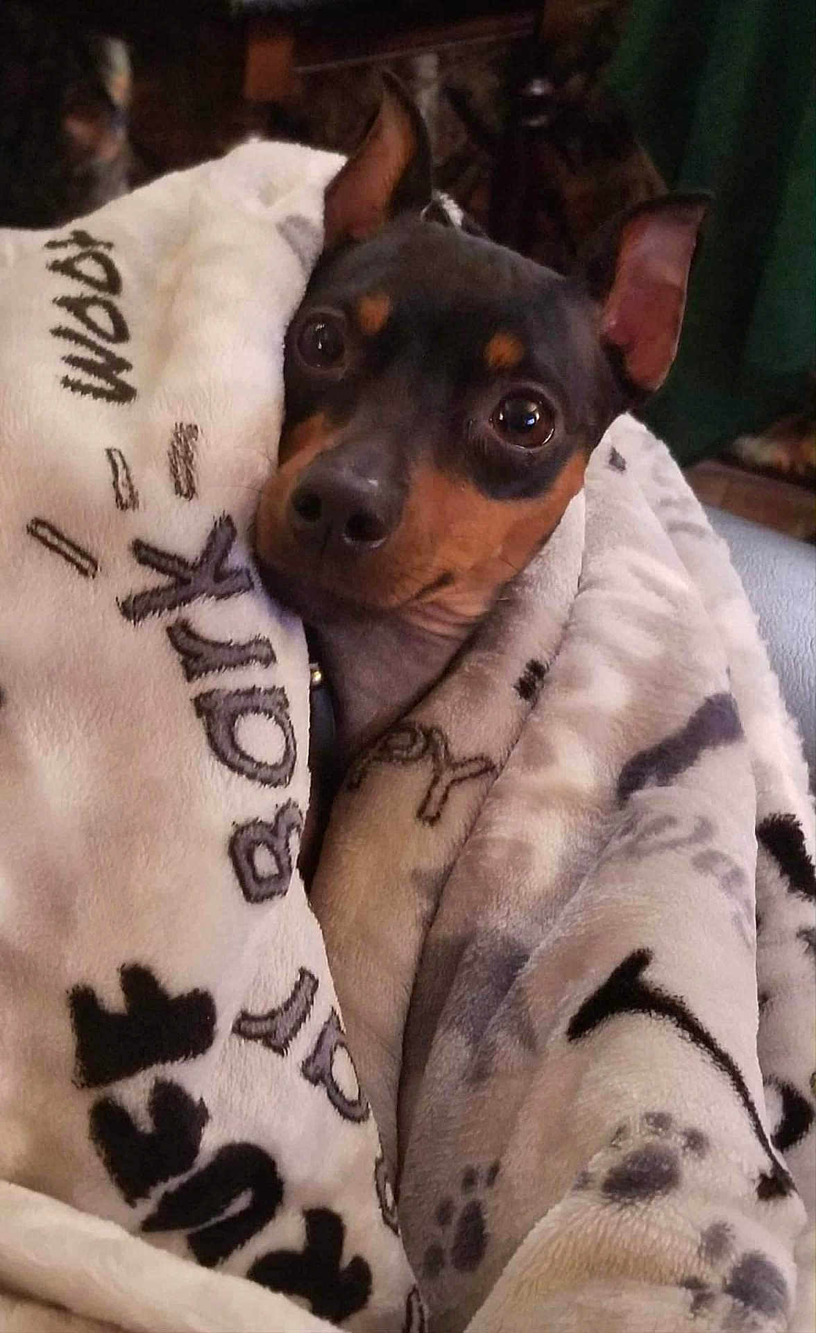 Zenzie