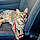 Mylo