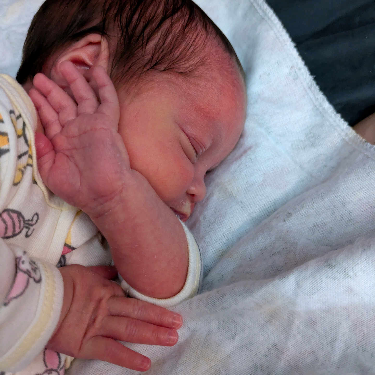 Bayleigh is registered to the contest to win money with this photo: baby, blanket, bodypart, face, finger, hand, head, newborn, person, photography, portrait, sleeping, towel, wrist