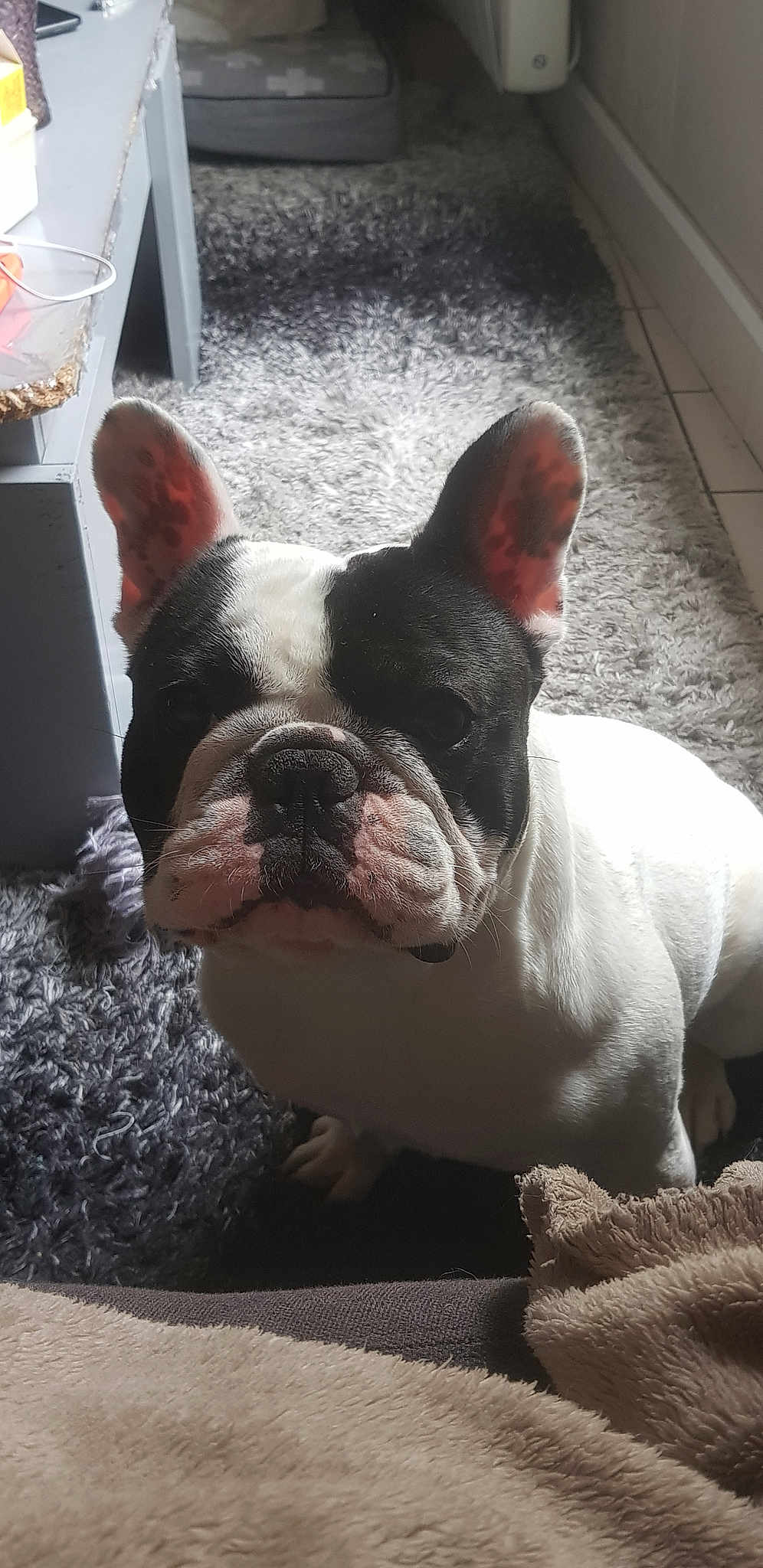 Marley
