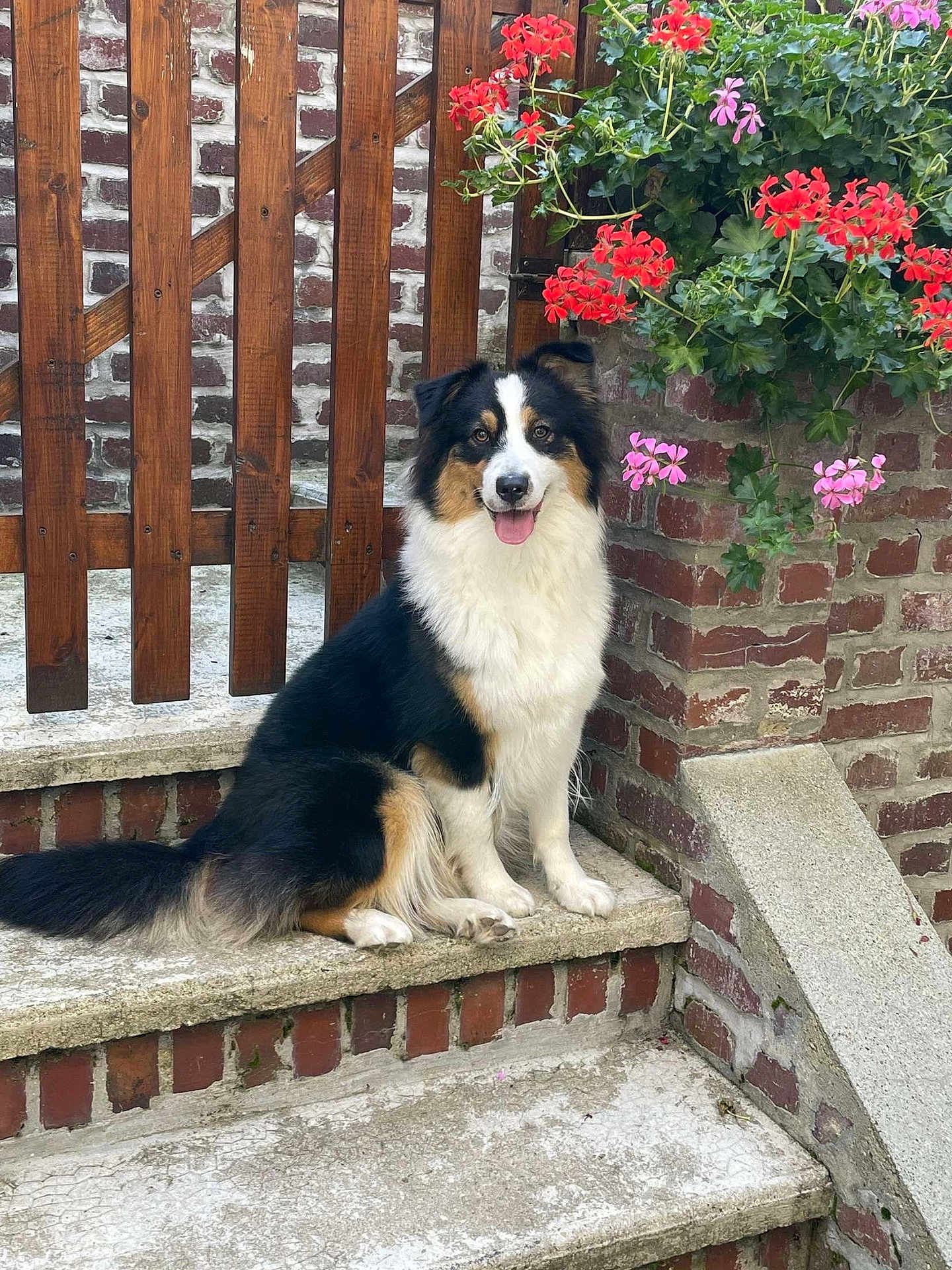 Roxy
