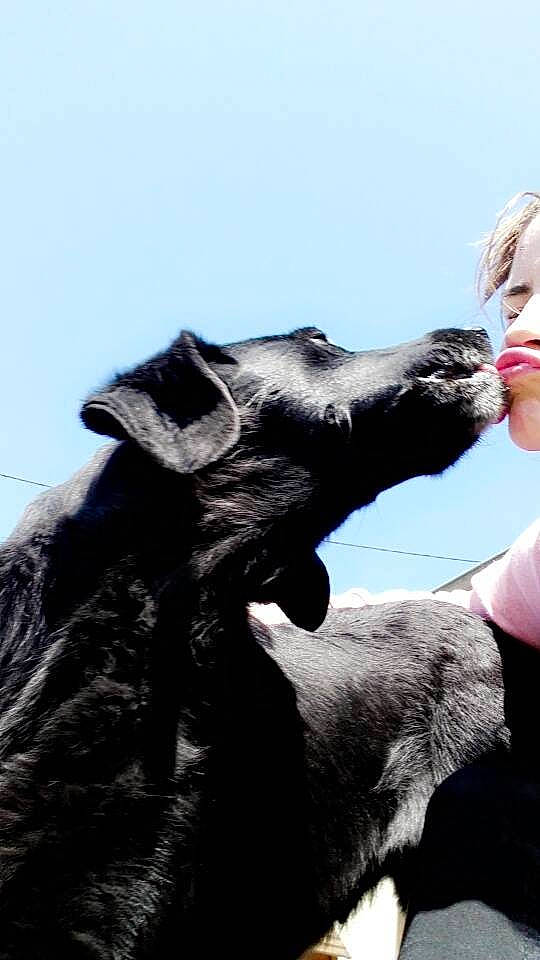 Daisy a rejoint le concours — aidez-le/la à gagner de superbes lots ! canidae, fur, gesture, hand, photography, snout