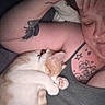 Buddyboy joined the competition — help win amazing prizes! arm, cat, closeup, collar, comfort, cute, feline, friendship, indoor, love, nap, person, pet, relaxation, rest, skin, sleep, sleeping, tank_top, tattoo