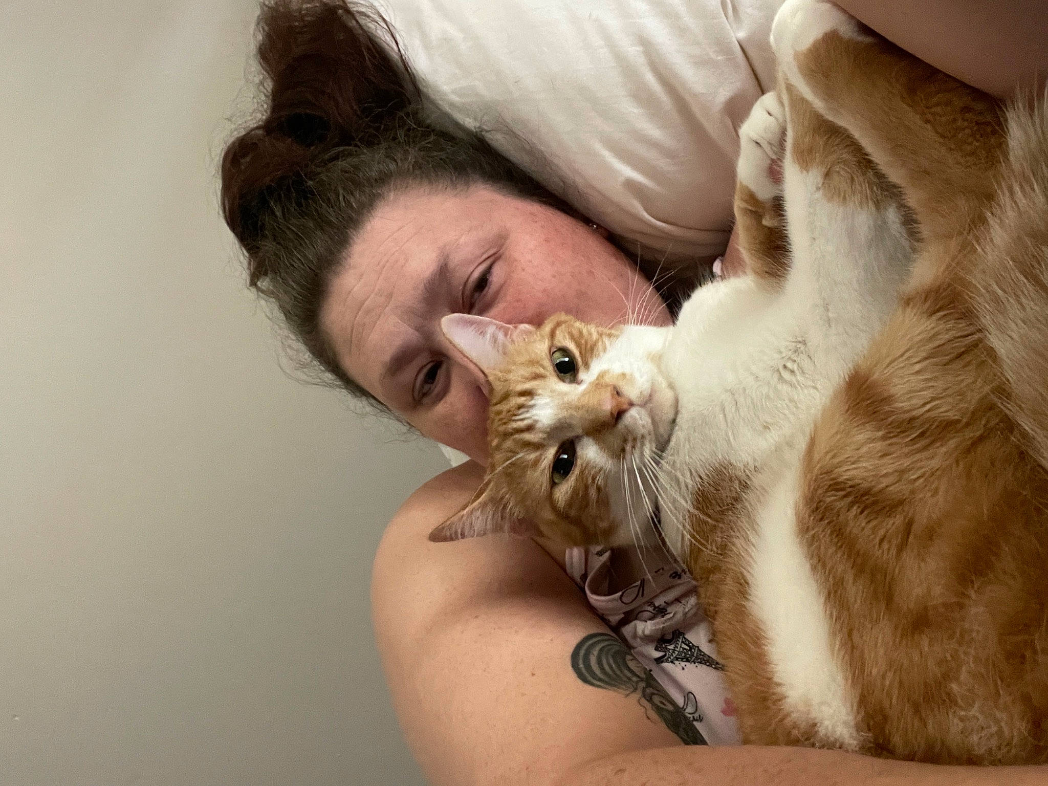 Papi is registered to the contest to win money with this photo: bed, carnivore, cat, claw, comfort, domestic_short_haired_cat, ear, eyelash, fawn, felidae, fur, gesture, happy, nail, nap, paw, small_to_medium_sized_cats, snout, vertebrate, whiskers