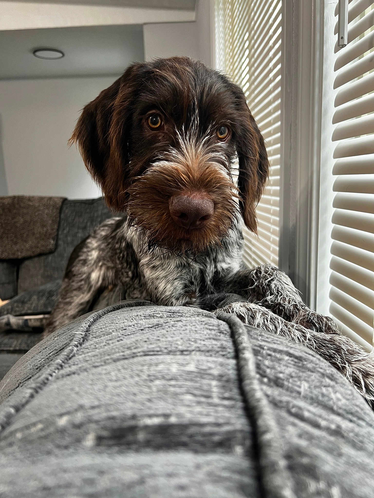 Jack