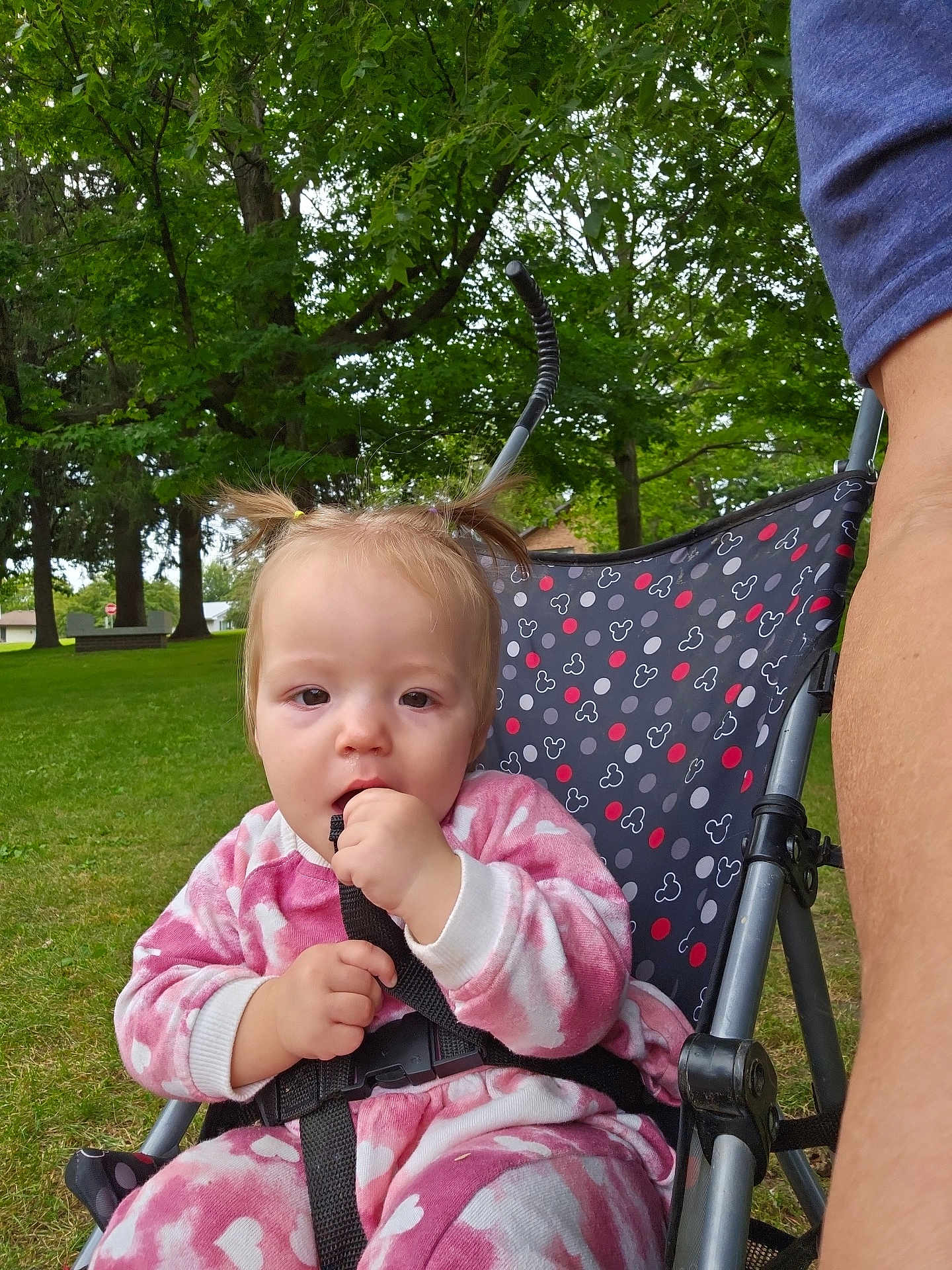 Adalyn