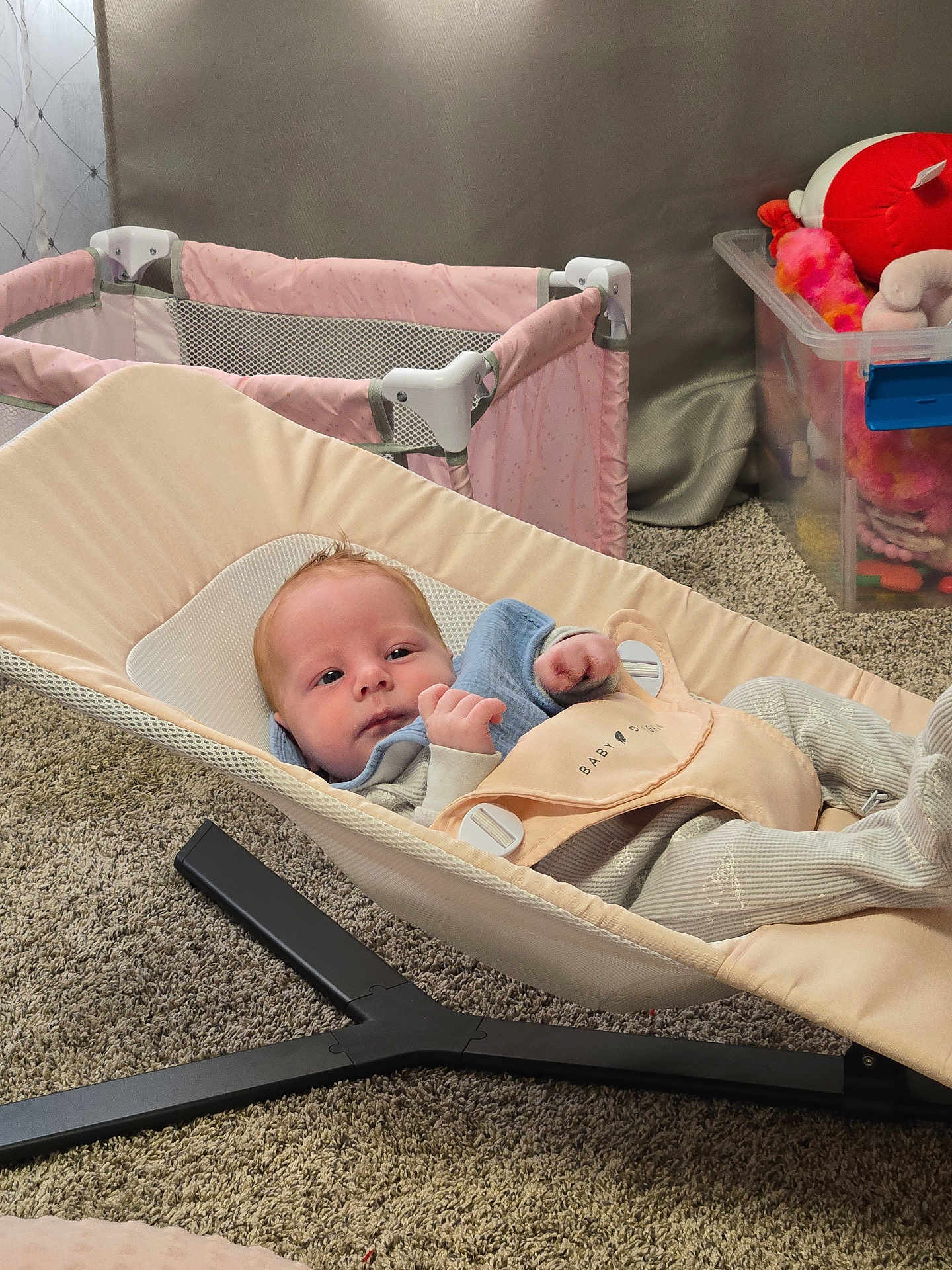 Sawyer joined the competition — help win amazing prizes! baby, infant, baby_bouncer, baby_seat, pink_playpen, toys, plush_toy, storage_box, carpet, nursery, bib, strap, buckle, clothing, face, gaze, newborn, cozy, home_interior, beige_fabric