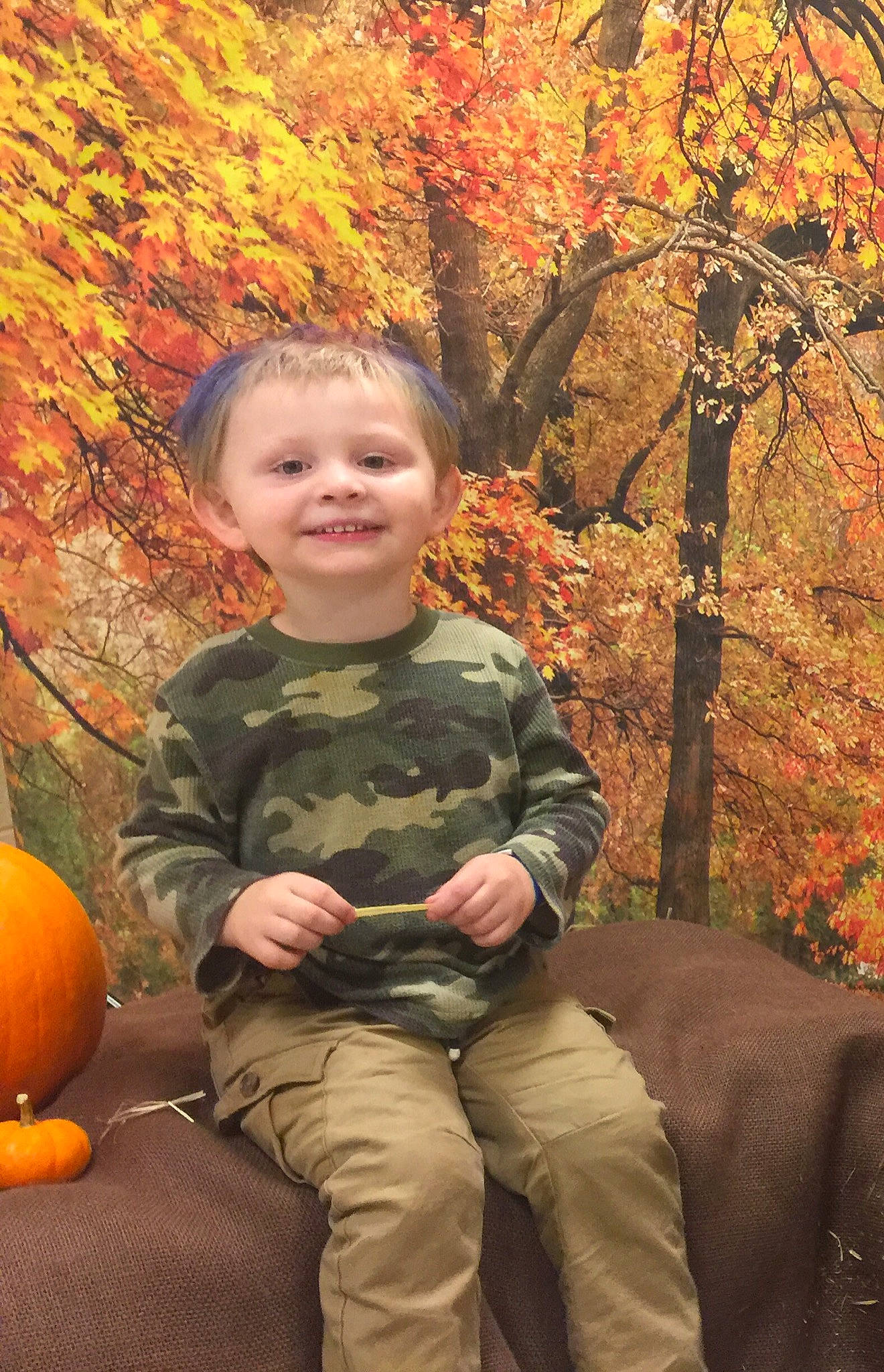 Jaxxon is registered to the contest to win money with this photo: autumn, child, fawn, joy, leaf, person, plant, pumpkin, sitting, smile, toddler, tree