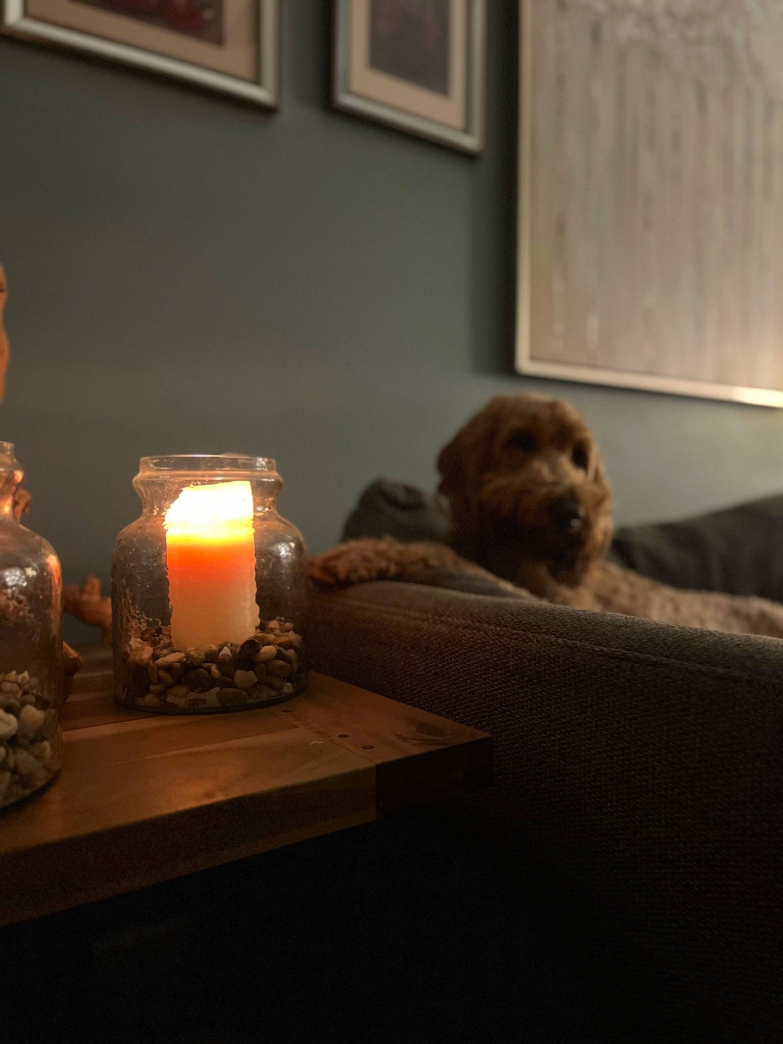 Ezekiel is registered to the contest to win money with this photo: candle, carnivore, comfort, companion_dog, dog, drinkware, event, fire, flame, flooring, hardwood, heat, interior_design, linens, picture_frame, sky, table, tableware, wax, wood