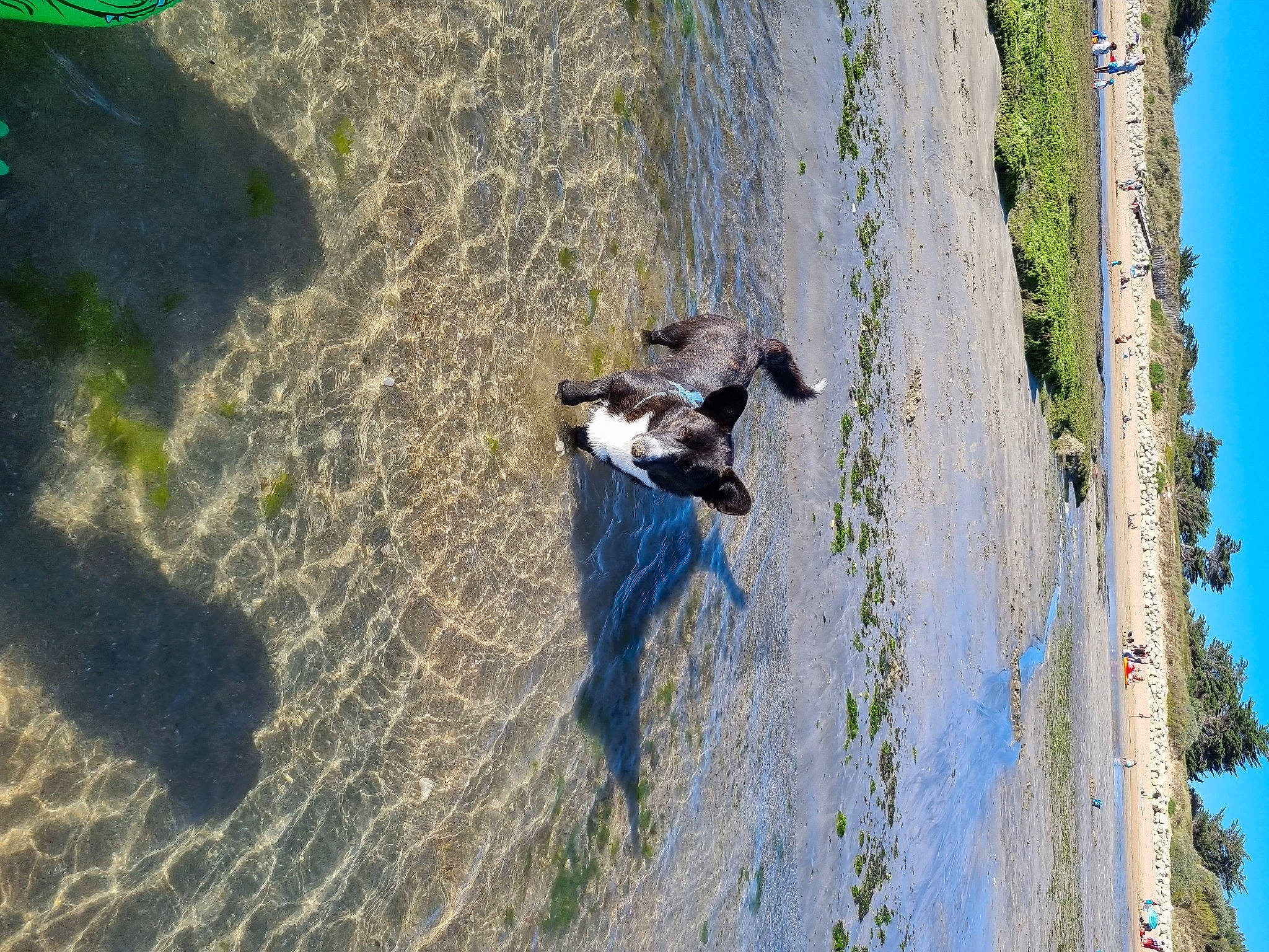Smith a rejoint le concours — aidez-le/la à gagner de superbes lots ! asphalt, biome, geology, grass, landscape, plant, reflection, road_surface, rock, shadow, sidewalk, sky, slope, soil, sporting_group, tree, trunk, water, window, wood