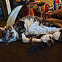 cat, tabby_cat, fur, white_paws, couch, indoor, relaxed, sleepy, pet, animal, whiskers, tail, furniture, household_items, cozy, resting, closeup, mammal, domestic_animal, soft