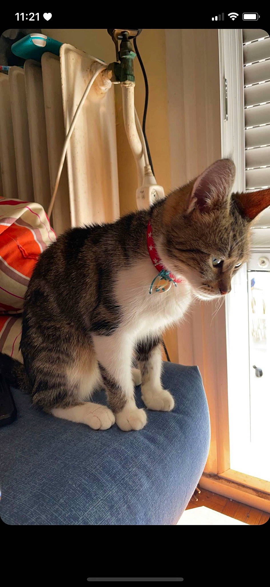 Kiara