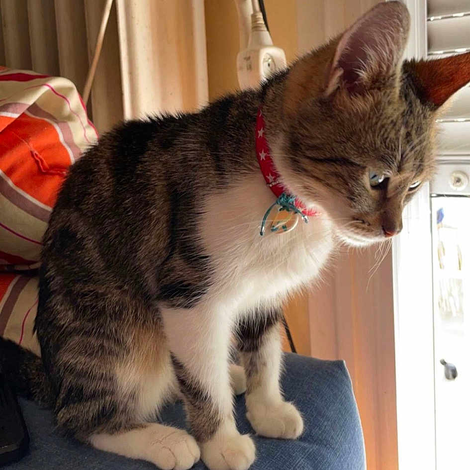 Kiara
