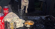 Anakin a rejoint le concours — aidez-le/la à gagner de superbes lots ! dog, chair, table, outdoor, glass, can, coca_cola, snack, bowl, cloth, tree, fence, person_partial, evening, pet, animal, metal_bowl, pavement, canine, relaxation