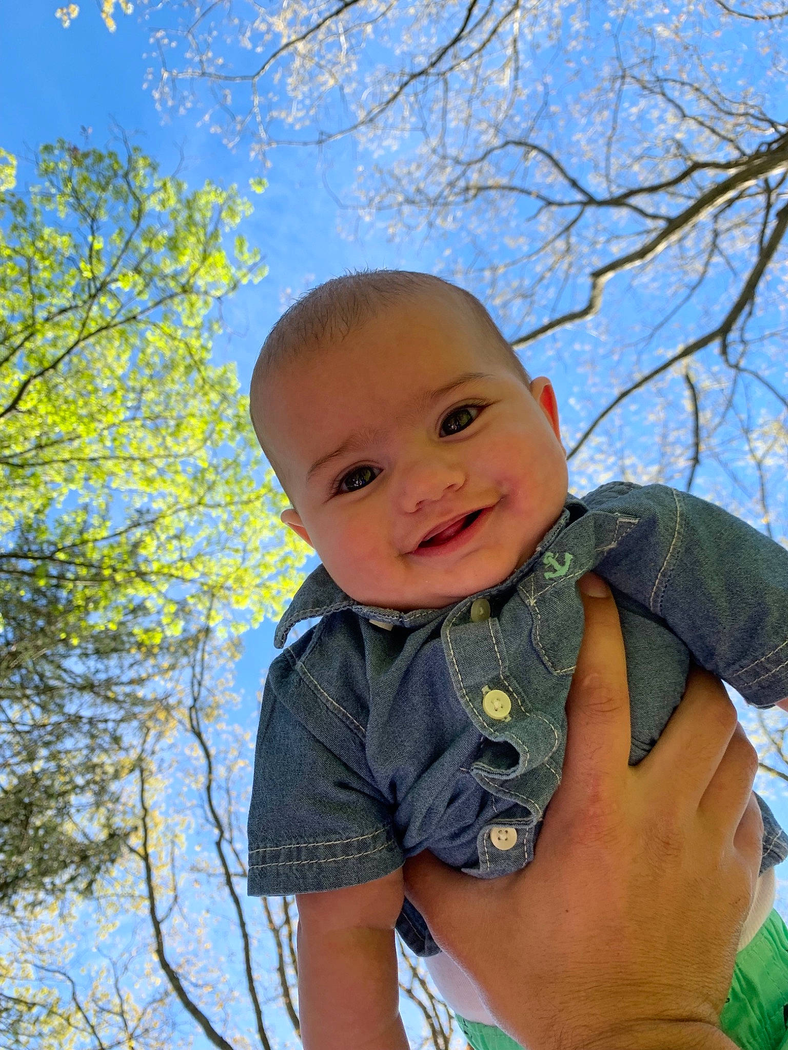 Leeland joined the competition — help win amazing prizes! baby, branch, child, grass, head, leaf, male, person, photography, plant, smile, toddler, tree
