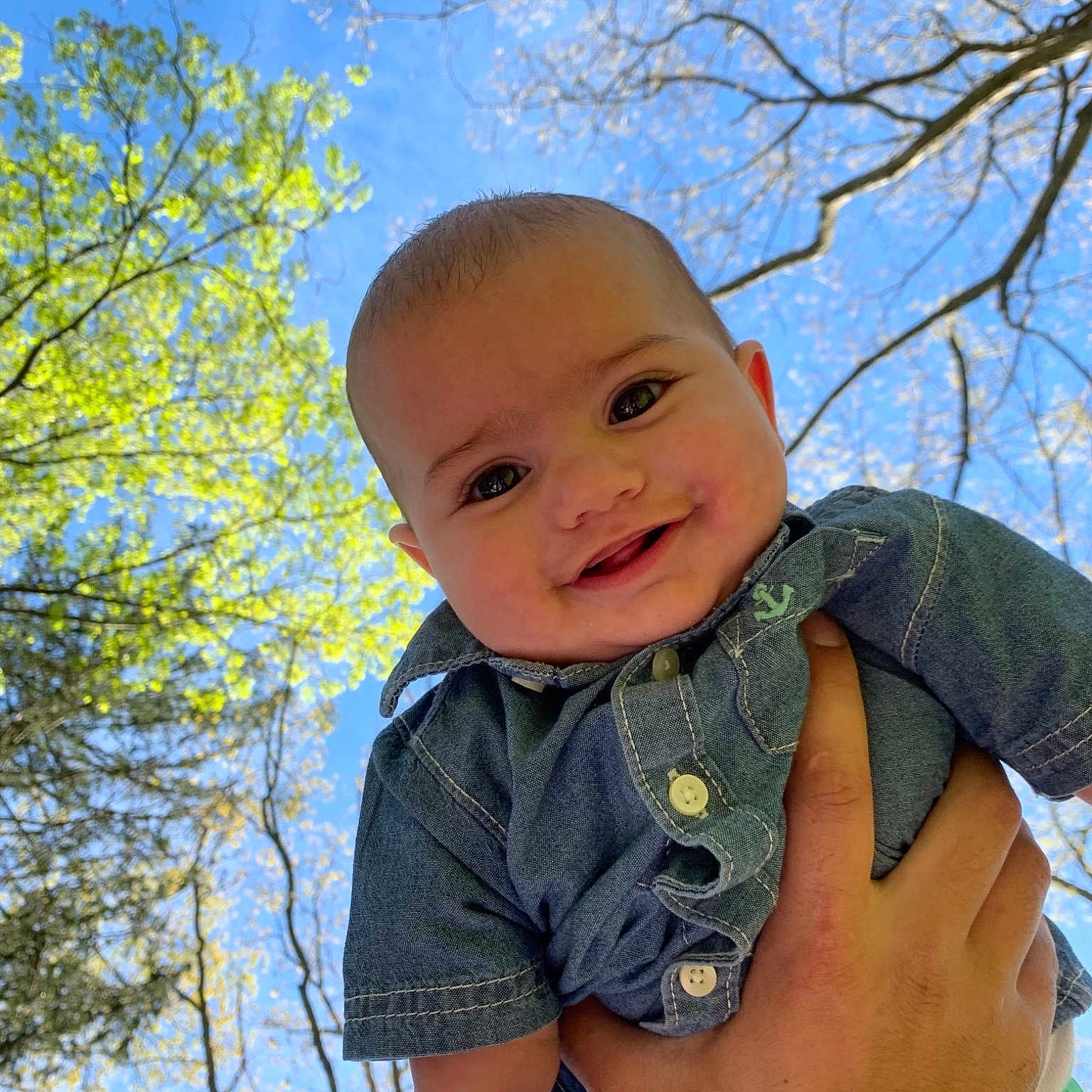 Leeland joined the competition — help win amazing prizes! baby, branch, child, grass, head, leaf, male, person, photography, plant, smile, toddler, tree