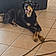 Xena