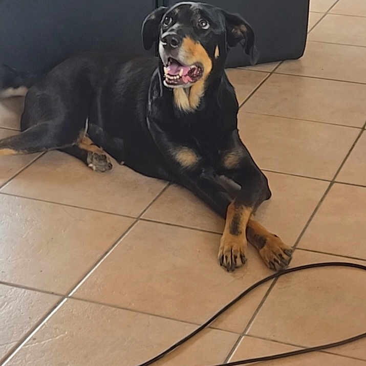 Xena