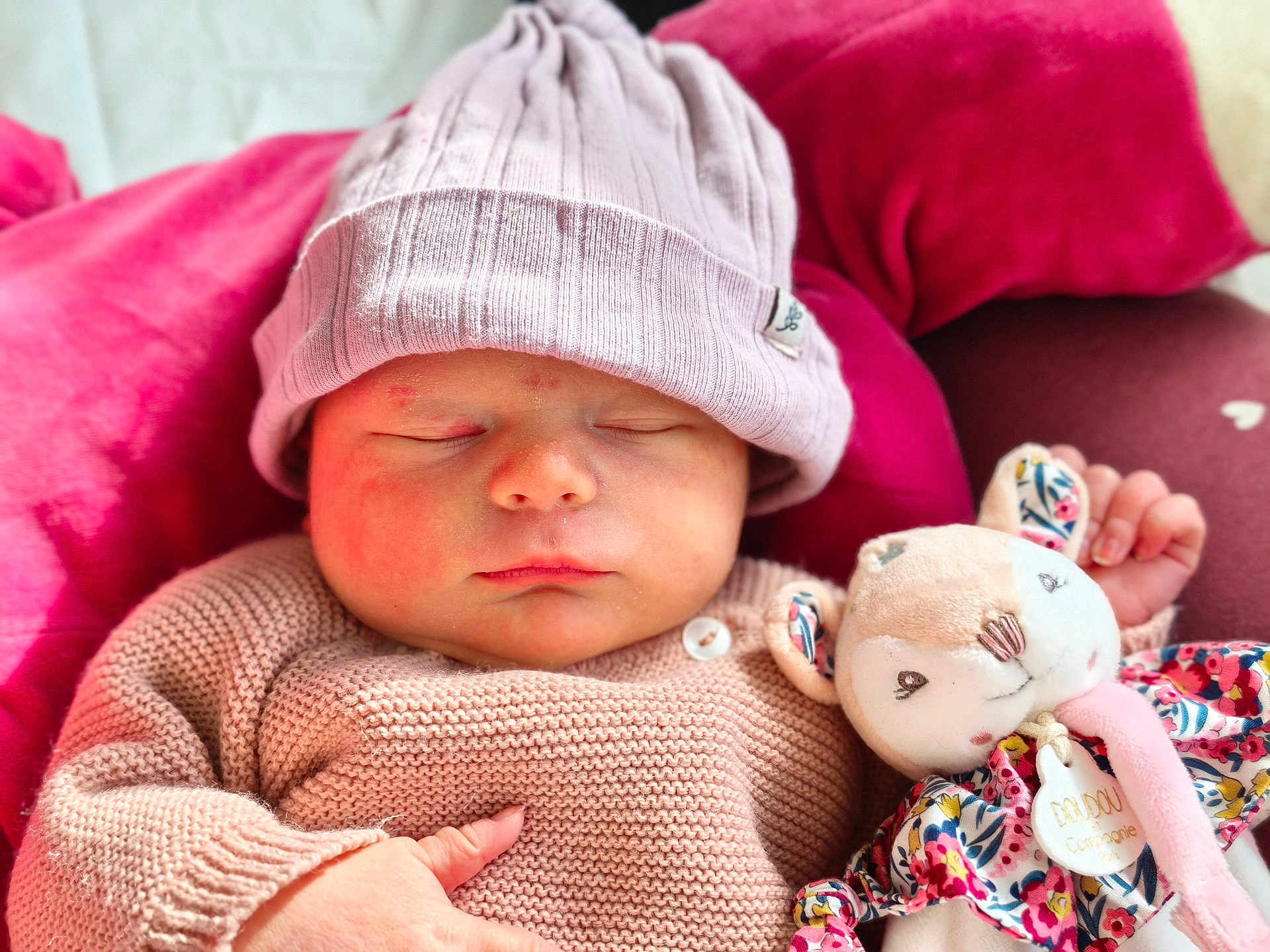 Freya participe au concours pour gagner de l'argent avec cette photo : baby, newborn, sleeping, infant, beanie, knit_sweater, plush_toy, stuffed_animal, pink_pillow, blanket, closeup, portrait, indoors, cozy, hand, cheeks, closed_eyes, lips, soft_toys, cuteness