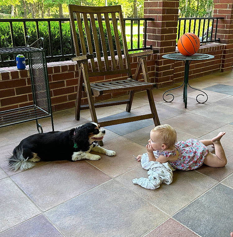 Alice joined the competition — help win amazing prizes! baby, carnivore, child, comfort, companion_dog, dog, dog_breed, floor, flooring, grass, hardwood, leisure, mammal, outdoor_furniture, person, plant, porch, toddler, vertebrate, wood