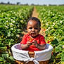 toddler, child, basket, strawberry, red_shirt, greenery, plants, flowers, outdoor, field, nature, sunlight, daylight, baby, fruit, cute, portrait, garden, summer, agriculture