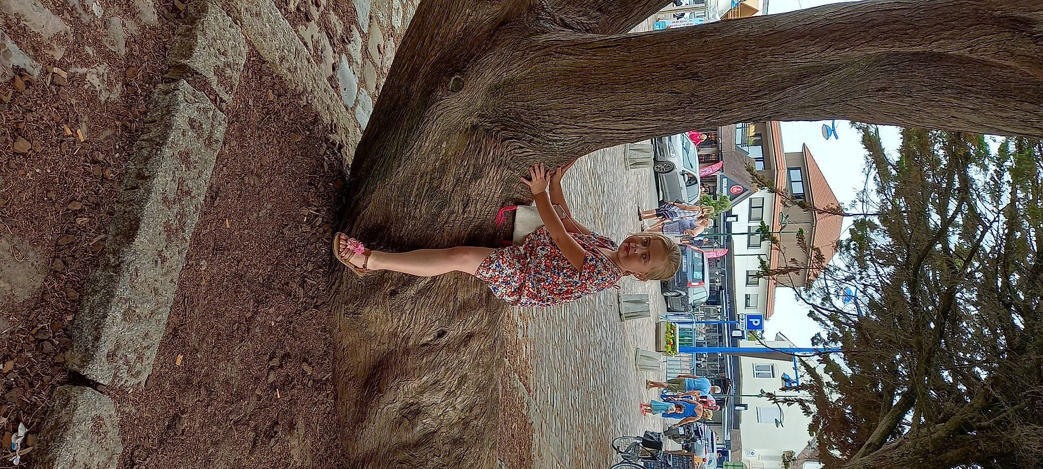 Cassandra a rejoint le concours — aidez-le/la à gagner de superbes lots ! adventure, building, climbing, facade, fun, happy, leisure, person, plant, recreation, rope, soil, sport_climbing, tourism, tree, trunk, vacation, visual_arts, window, wood