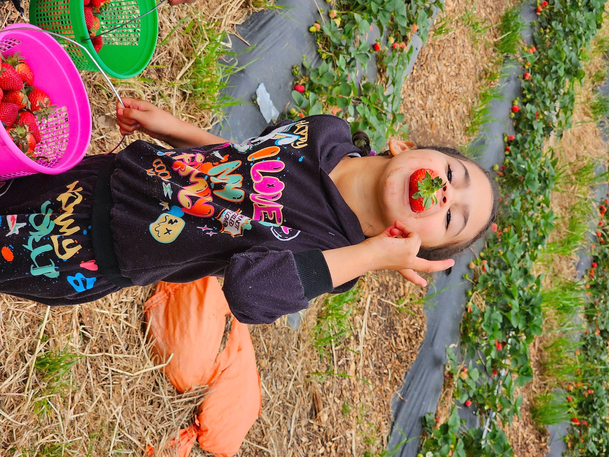 Kaydence joined the competition — help win amazing prizes! baby, child, costume, fun, garden, grass, happy, hat, headgear, leisure, orange, people_in_nature, person, plant, pumpkin, sandal, smile, sunglasses, t_shirt, toddler