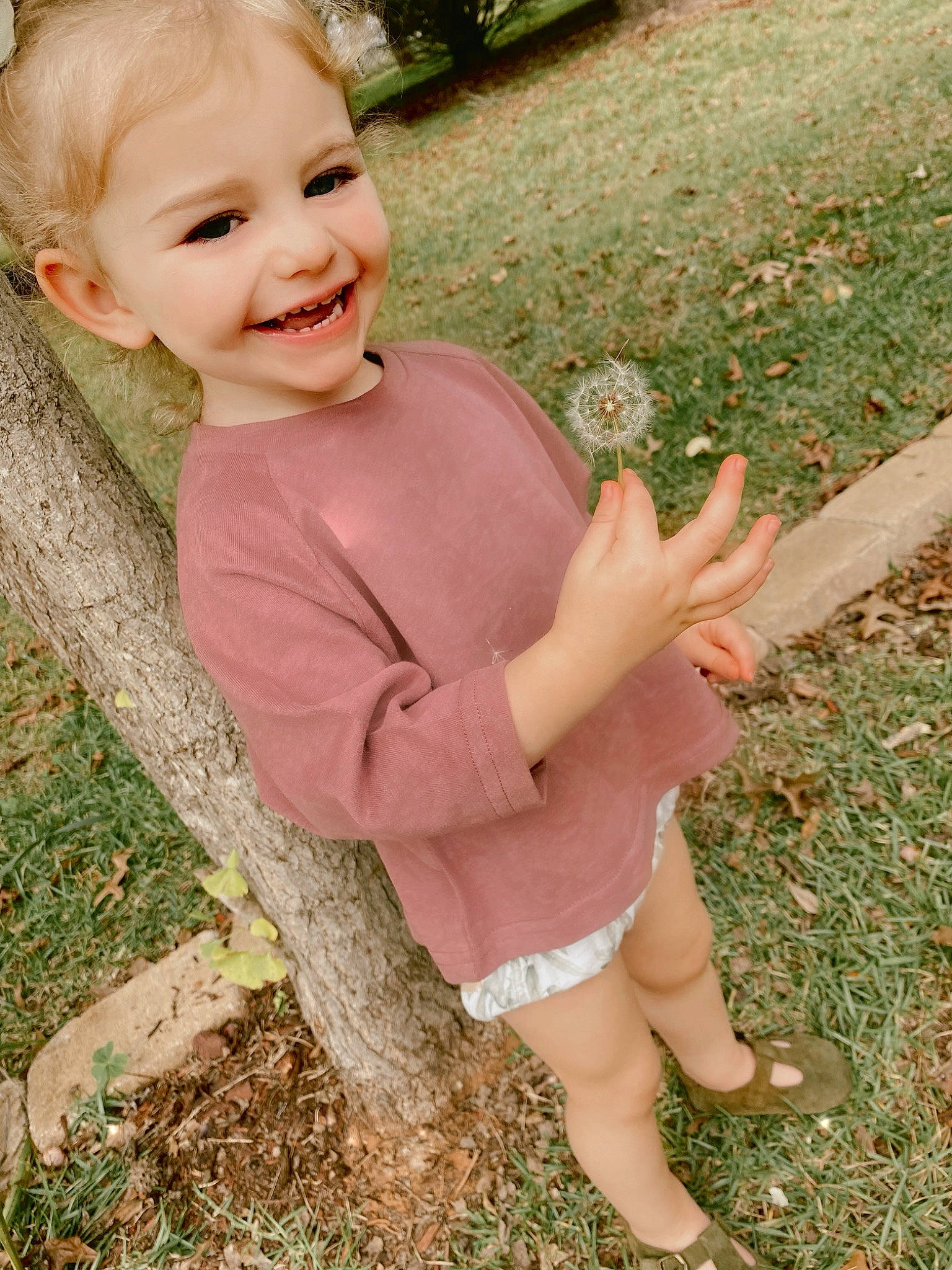 Ellie is registered to the contest to win money with this photo: baby_toddler_clothing, child, eye, finger, gesture, grass, grass_family, hand, happy, joy, leaf, lip, nose, people_in_nature, person, pink, plant, skin, sleeve, smile