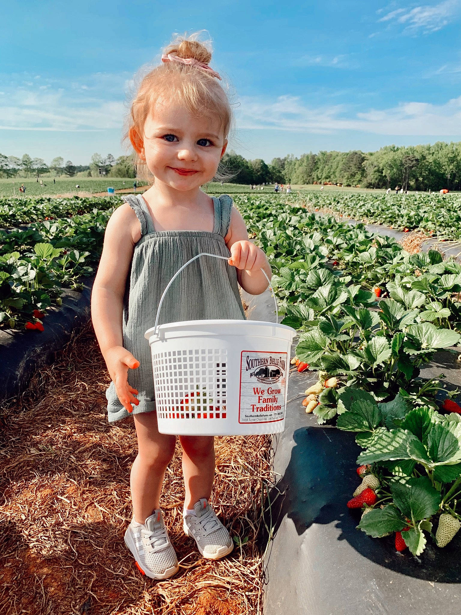 Ellie is registered to the contest to win money with this photo: agriculture, cloud, doll, flower, fruit, garden, grass, green, happy, joy, leaf_vegetable, local_food, natural_foods, people_in_nature, person, plant, pumpkin, sky, summer, toddler