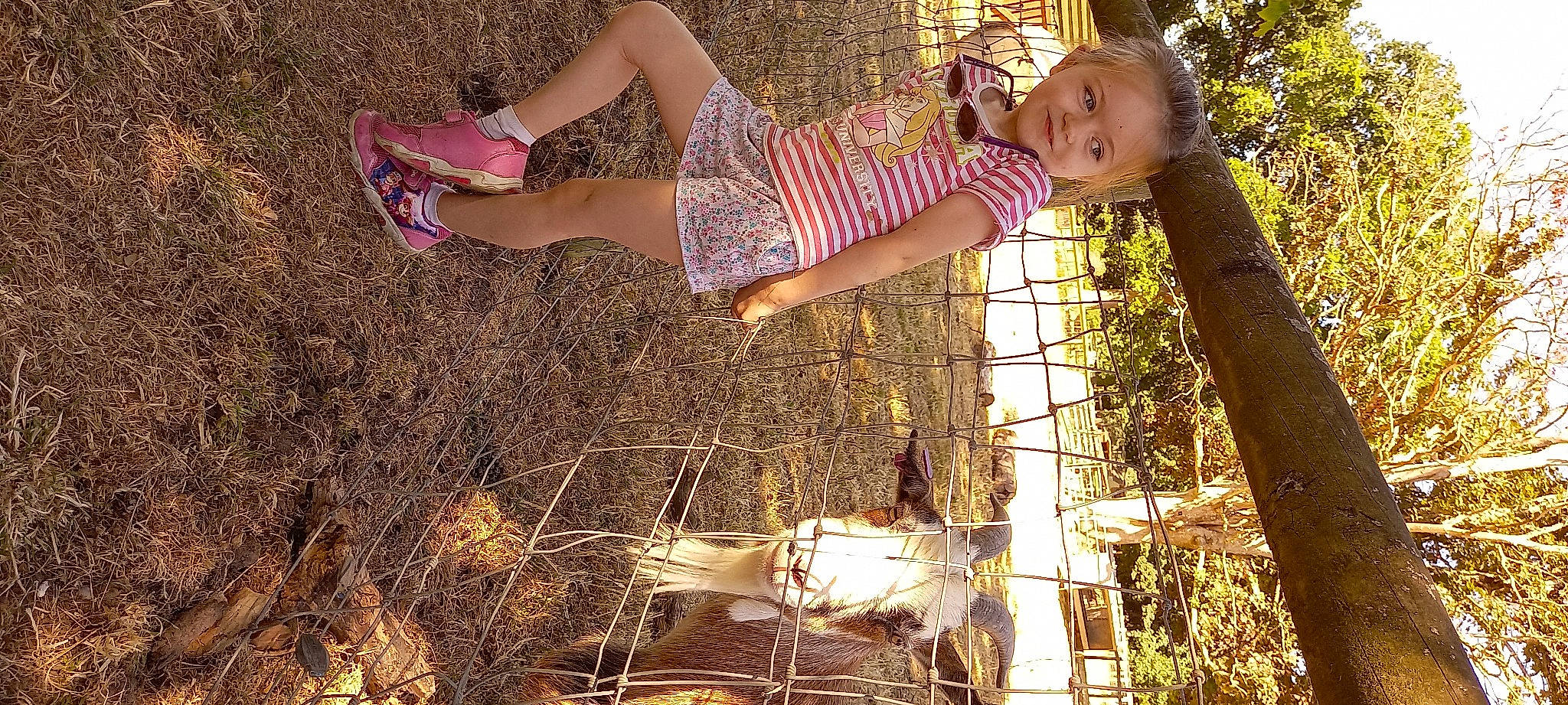 Zaley a rejoint le concours — aidez-le/la à gagner de superbes lots ! dress, fun, grass, happy, human_leg, joy, leg, leisure, people_in_nature, person, plant, sandal, shoe, soil, spring, thigh, tints_and_shades, tree, trunk, twig