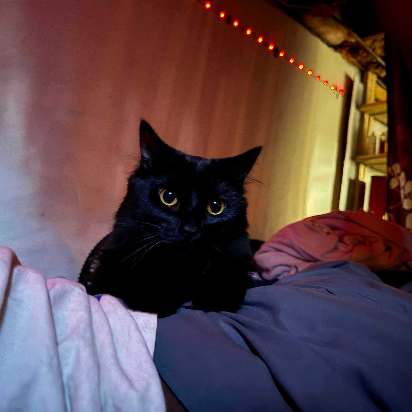 Midnight
