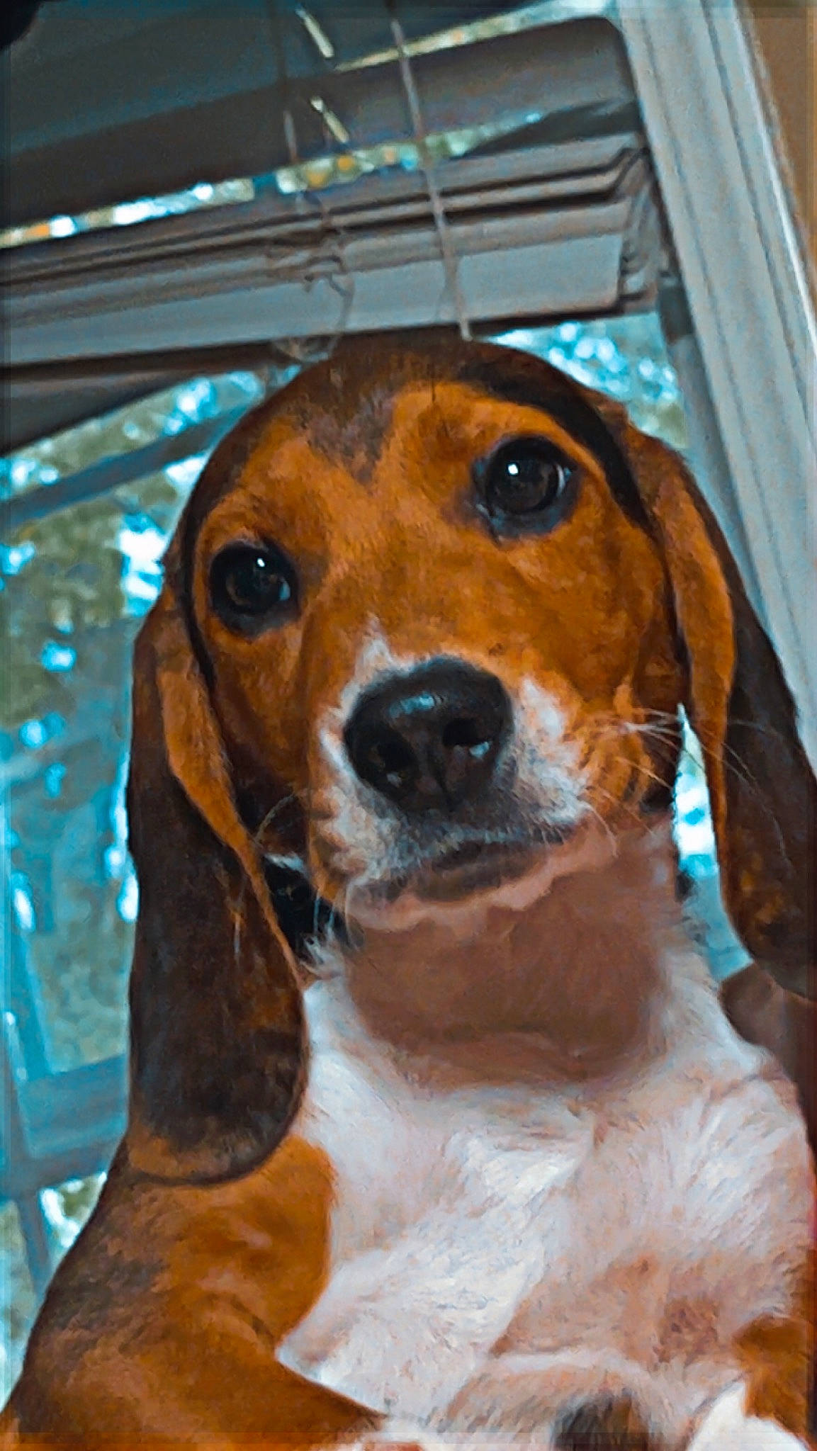 Shiloh