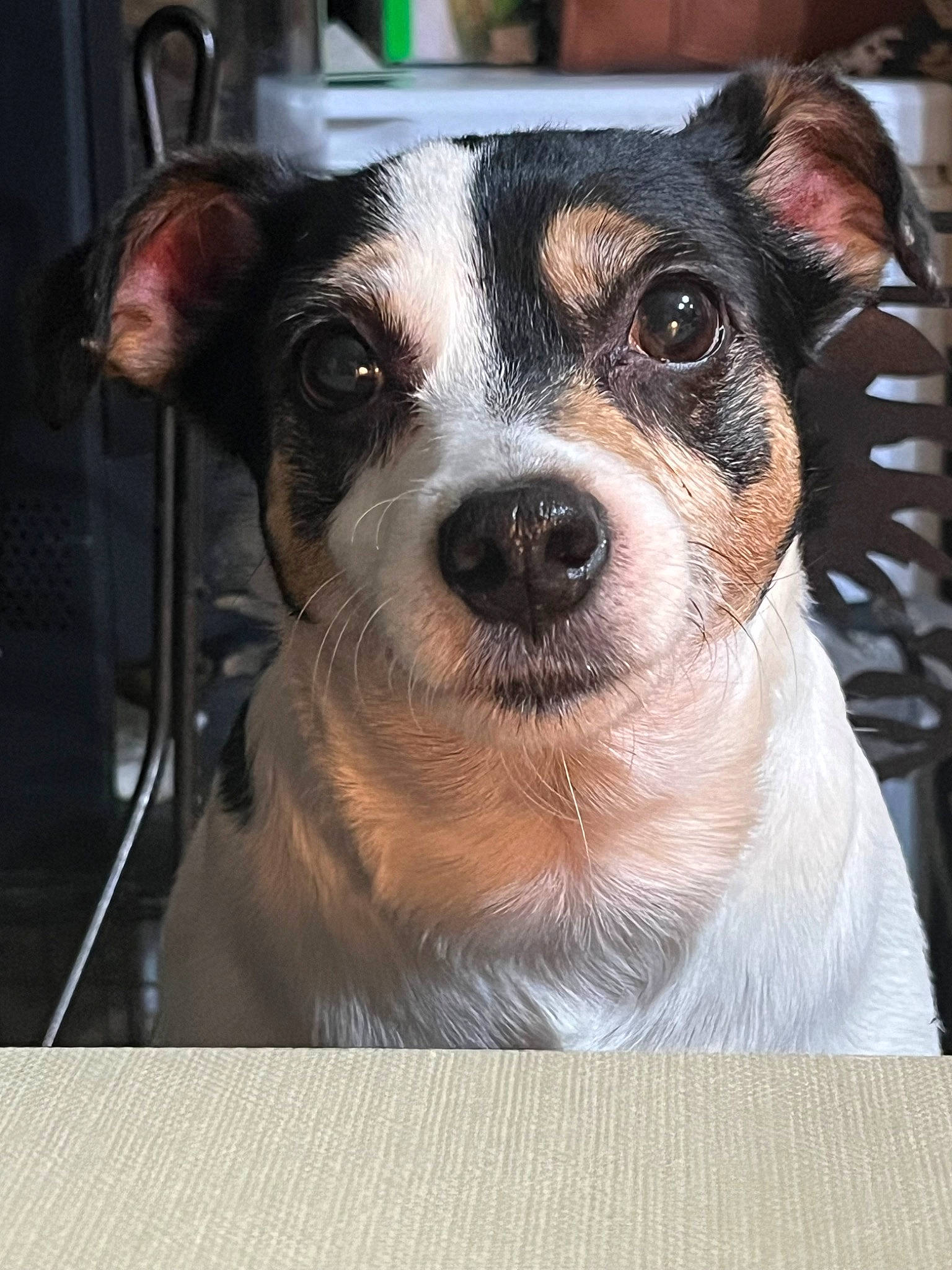 Chloe