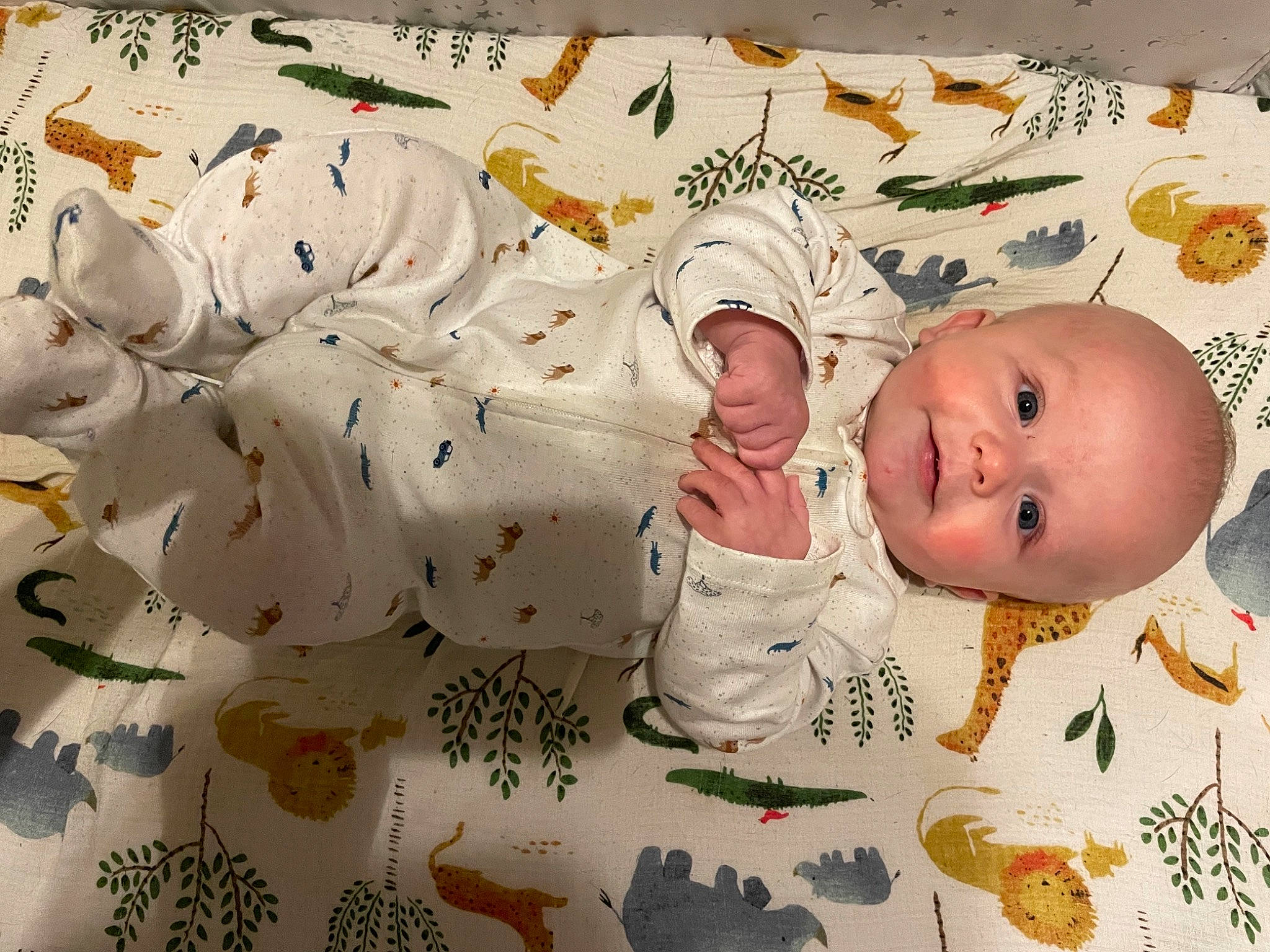 Greyson is registered to the contest to win money with this photo: art, baby, baby_products, baby_safety, baby_sleeping, baby_toddler_clothing, baby_toys, bedding, bedtime, child, comfort, happy, illustration, linens, pattern, person, room, textile, toddler, visual_arts