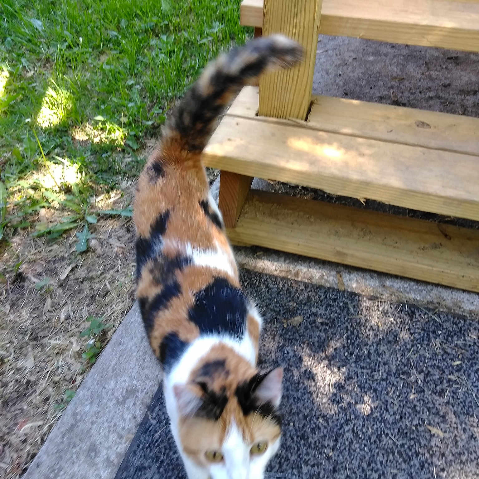 Bemmy.