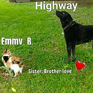 Highway