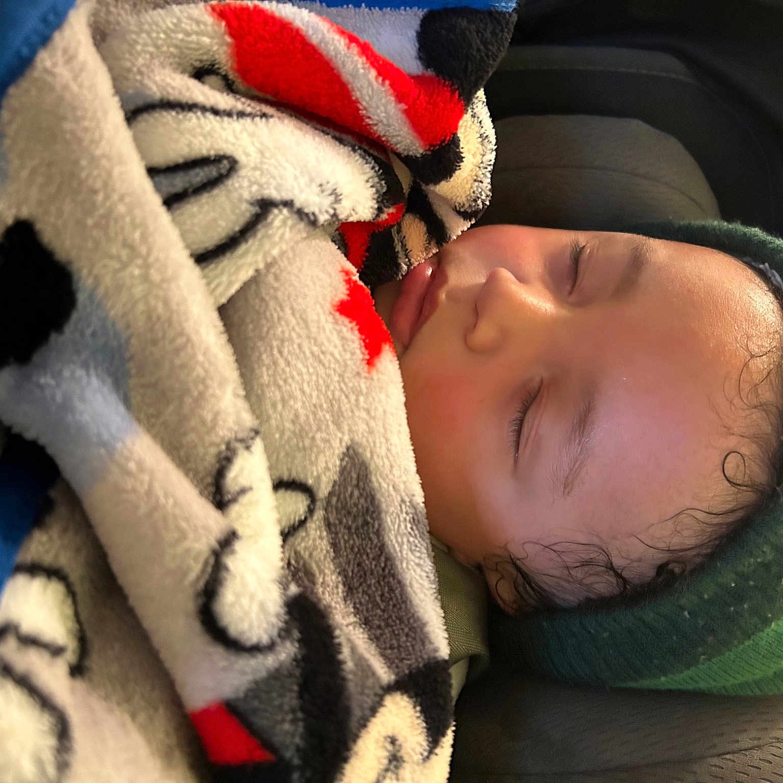 Giovanni is registered to the contest to win money with this photo: baby, baby_sleeping, bedtime, cap, carmine, cheek, child, close_up, comfort, eye, eyelash, fur, knit_cap, linens, nose, person, skin, textile, toddler, tree
