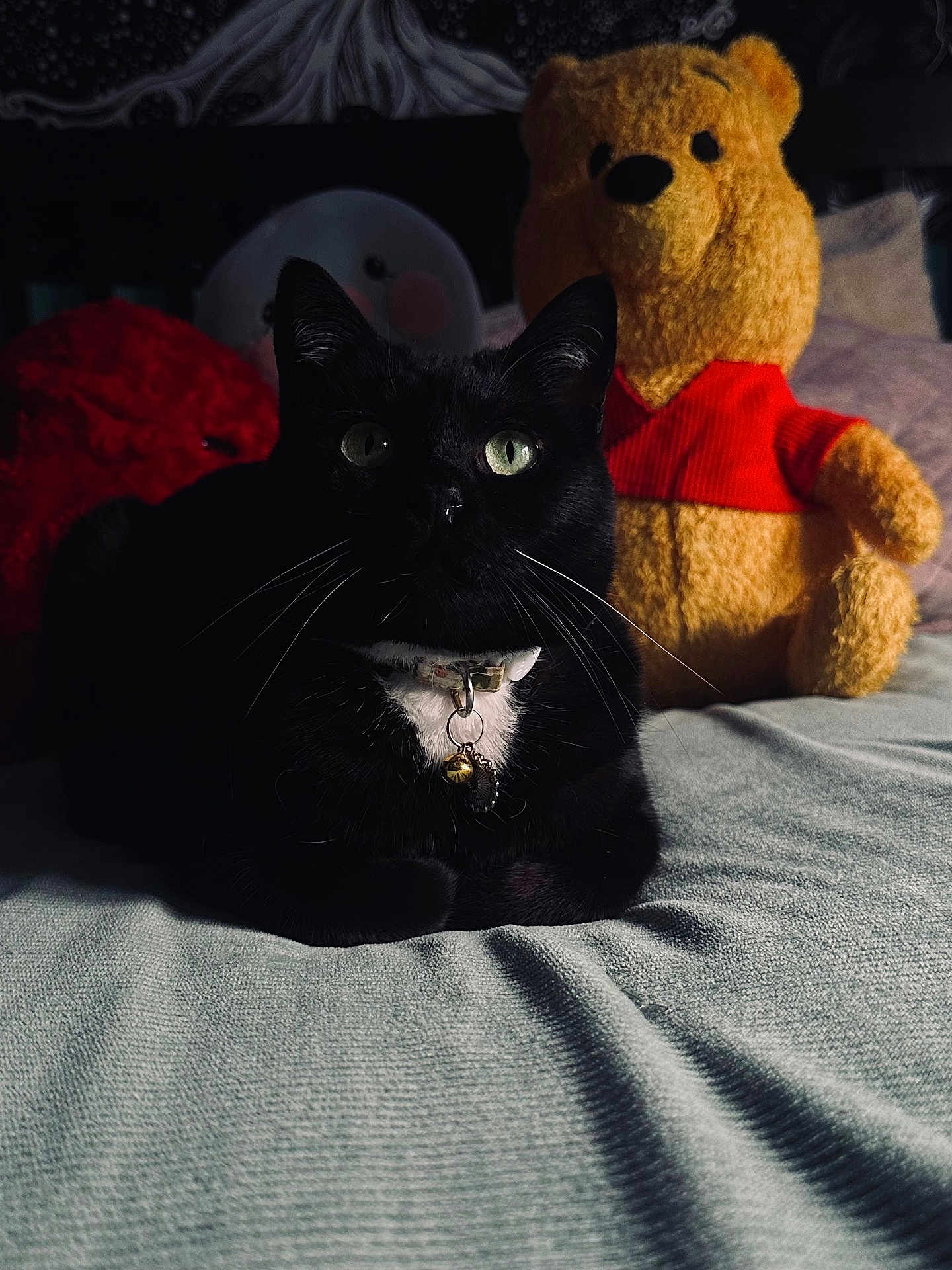 Jazzy joined the competition — help win amazing prizes! black_cat, cat, green_eyes, stuffed_toy, winnie_the_pooh, bed, blanket, plush, whiskers, collar, indoor, cozy, animal, pet, feline, soft_toys, relaxing, close_up, dark_background, cute