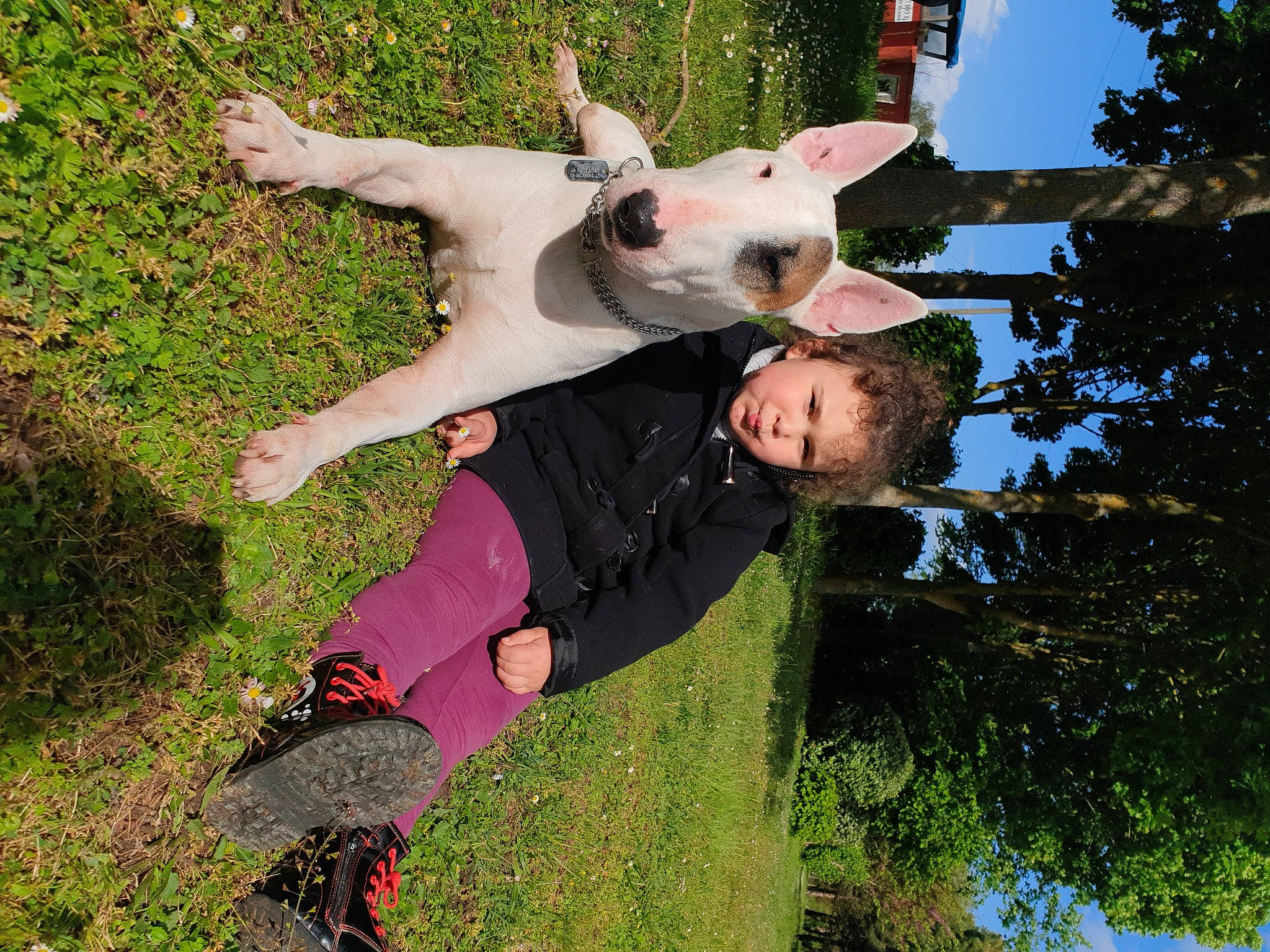 Sparow participe au concours pour gagner de l'argent avec cette photo : canidae, companion_dog, dog, dog_breed, fawn, fun, grass, happy, leaf, leisure, people_in_nature, plant, play, recreation, sandal, sky, sporting_group, tail, tree, working_animal