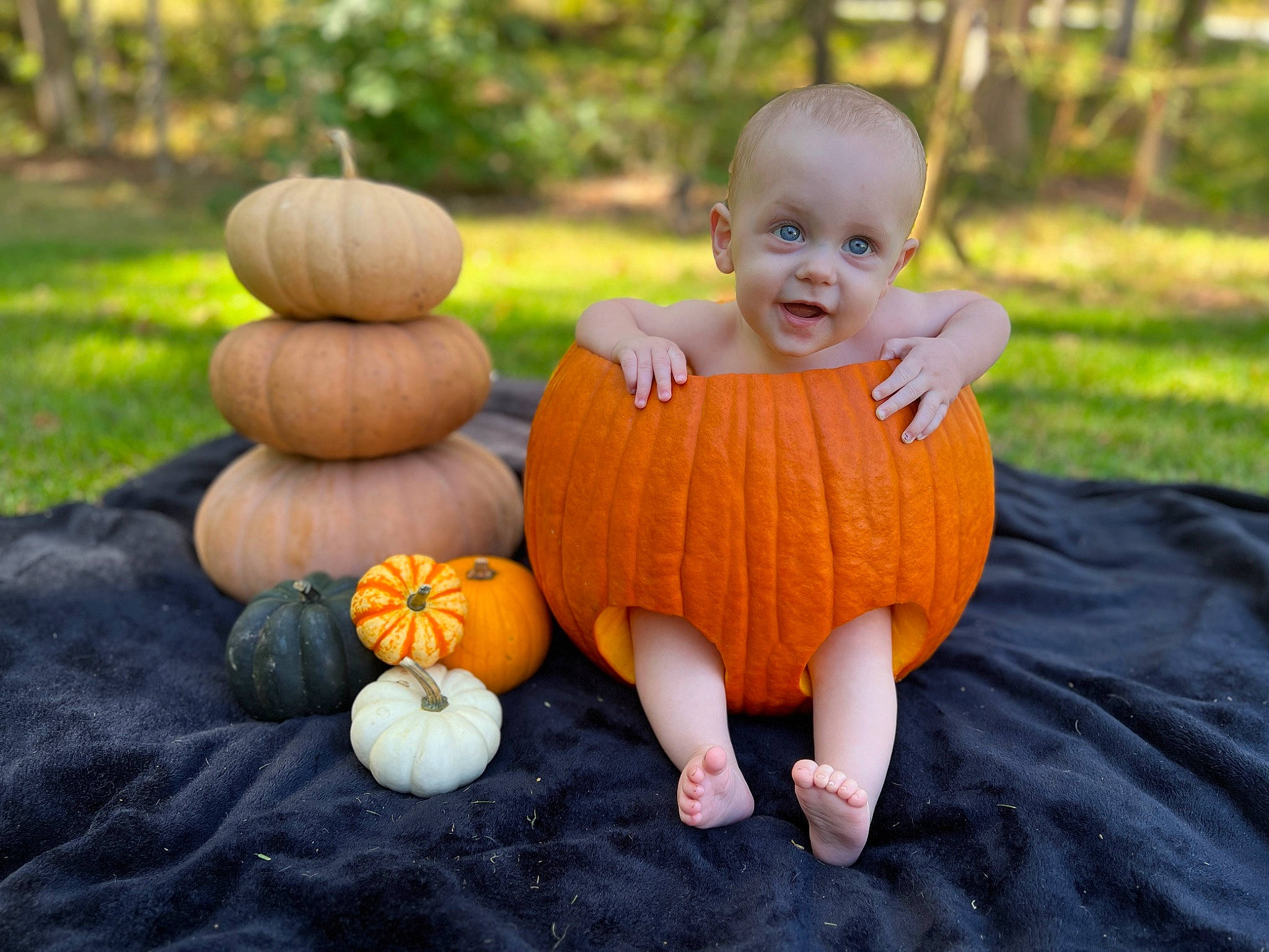 Colt is registered to the contest to win money with this photo: baby_toddler_clothing, calabaza, cucurbita, face, finger, gourd, grass, happy, natural_foods, orange, people_in_nature, person, plant, pumpkin, smile, squash, toddler, tree, vegetable, winter_squash