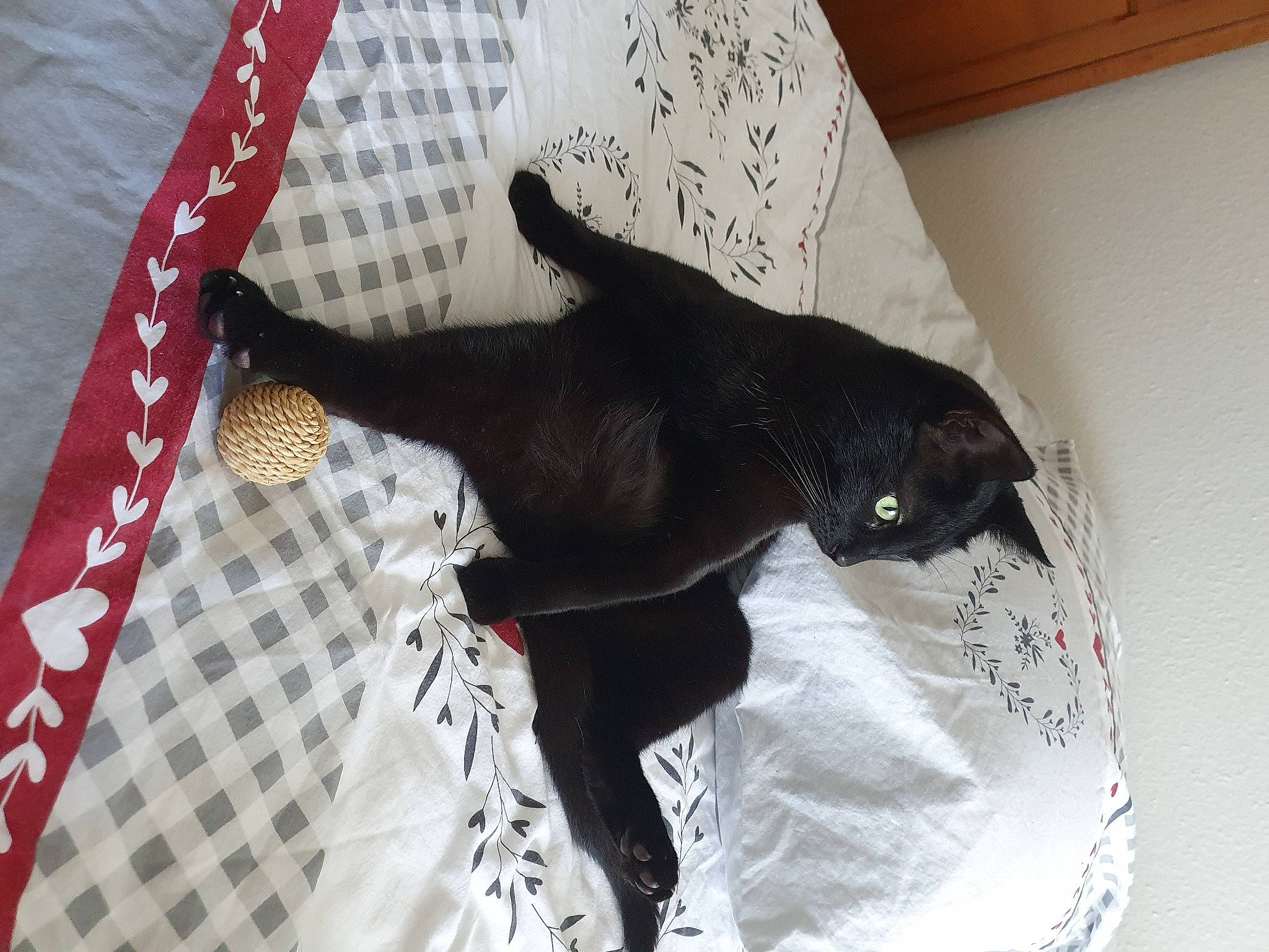 Melchior participe au concours pour gagner de l'argent avec cette photo : black_cat, bombay, carmine, carnivore, cat, claw, comfort, dog_breed, domestic_short_haired_cat, felidae, fur, linens, pattern, room, small_to_medium_sized_cats, snout, tail, terrestrial_animal, vertebrate, whiskers