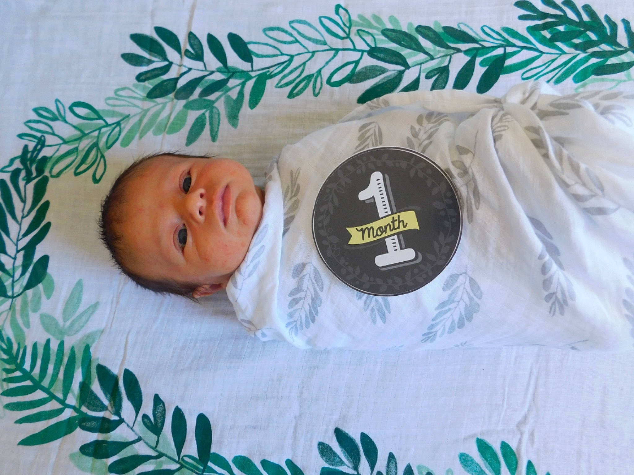 Lance joined the competition — help win amazing prizes! baby, baby_products, baby_sleeping, baby_toddler_clothing, bed, bedding, bedtime, child, comfort, font, grass, linens, mammal, pattern, person, product, quilt, room, textile, toddler