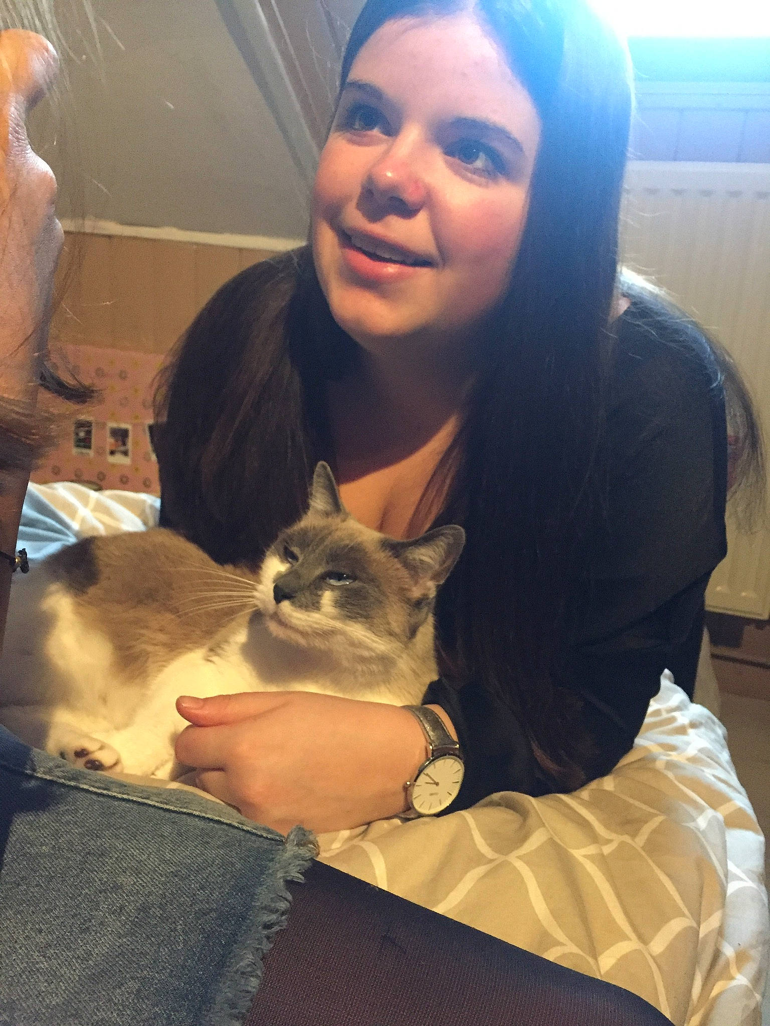 Ficelle participe au concours pour gagner de l'argent avec cette photo : cat, ear, fawn, felidae, head, long_hair, photography, selfie, small_to_medium_sized_cats, smile