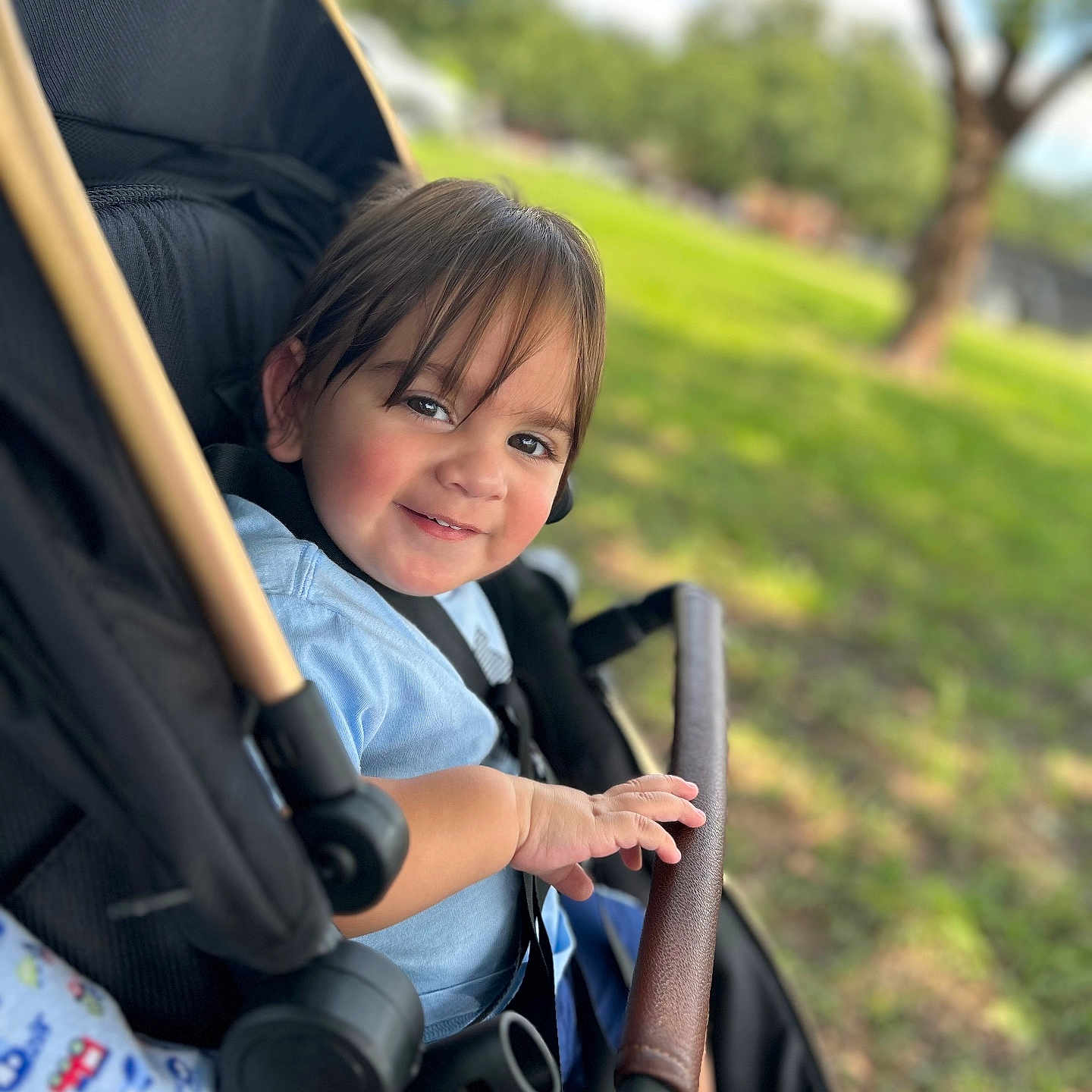 Ezequiel Cortinez joined the competition — help win amazing prizes! baby, casual_clothing, child, daytime, face, foot, grass, greenery, hair, hand, happy, nature, outdoor, park, seatbelt, smile, stroller, sunlight, toddler, tree
