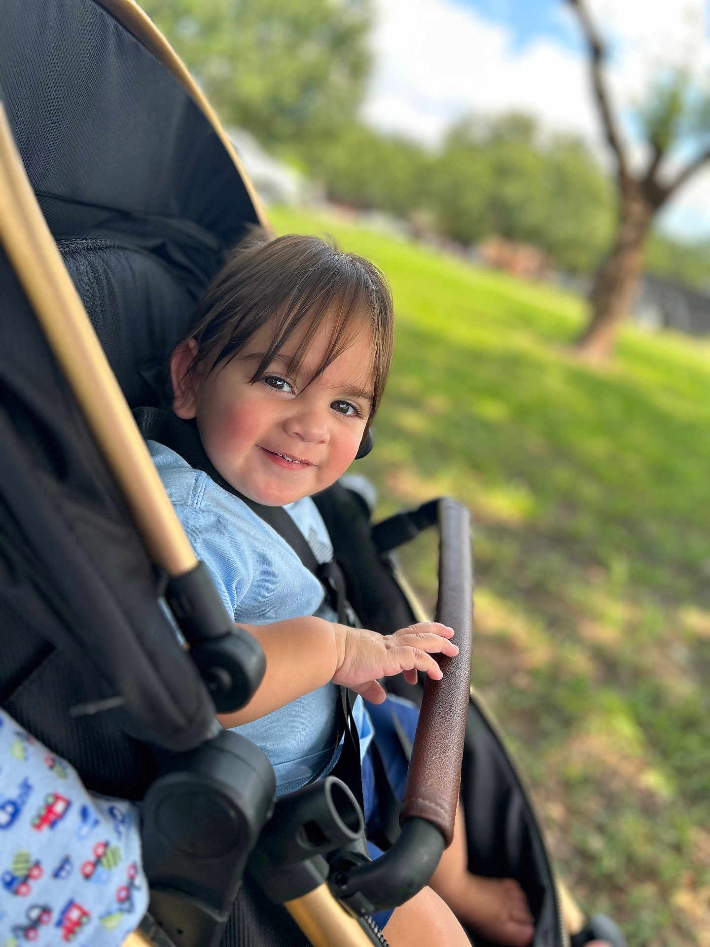 Ezequiel Cortinez joined the competition — help win amazing prizes! toddler, child, smile, stroller, outdoor, park, greenery, sunlight, baby, happy, seatbelt, hand, face, hair, nature, grass, tree, foot, casual_clothing, daytime