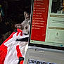 cat, laptop, blanket, gray_cat, curious, peeking, indoor, technology, computer, keyboard, screen, red, white, black, home, cozy, pet, feline, resting, playful