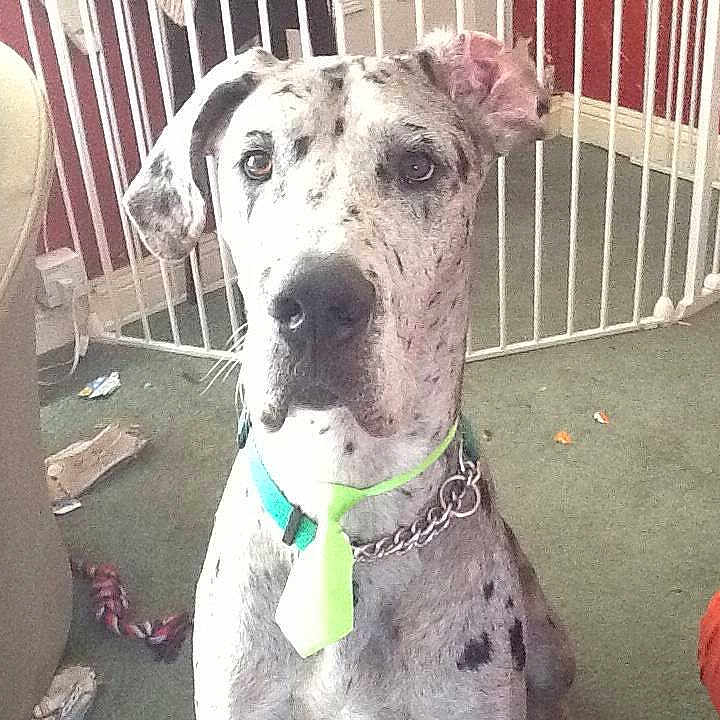 Selda is registered to the contest to win money with this photo: