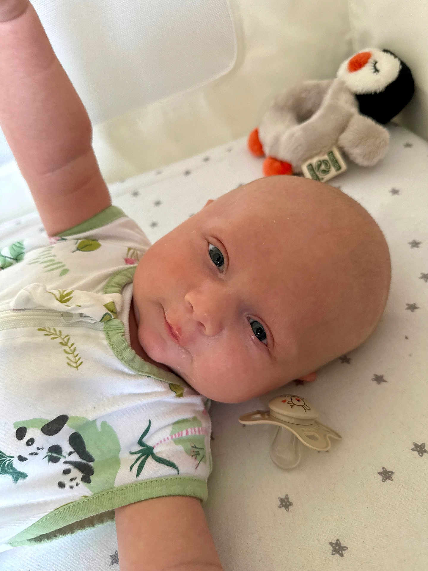 Freddie joined the competition — help win amazing prizes! baby, infant, onesie, pacifier, plush_toy, penguin, crib, star_pattern, sleeping_area, cute, child, newborn, face, arm, expression, lying_down, soft_toys, bed, comfort, peaceful